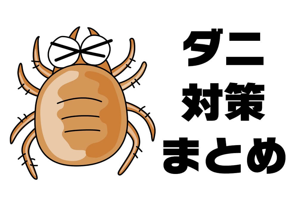アレルギーを抑えよう！布団に潜むダニを減らす対策・方法まとめ
